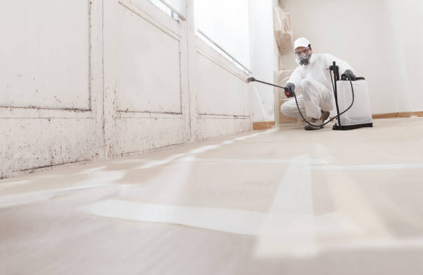 24/7 Emergency Mold Remediation experts in Arlington, VA