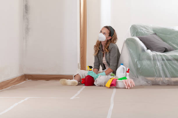 Reliable Mold Remediation contractor in Arlington, VA by Mold Remediation HQ
